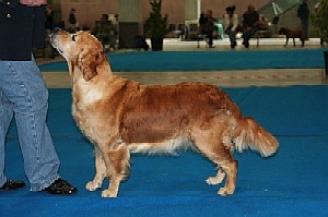 tzara expo-st-gall 06-048.jpg